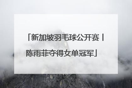 新加坡羽毛球公开赛丨陈雨菲夺得女单冠军