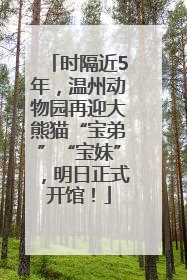 时隔近5年，温州动物园再迎大熊猫“宝弟”“宝妹”，明日正式开馆！