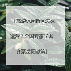 旅游休闲街区怎么运营？全国专家学者齐聚岳阳献策