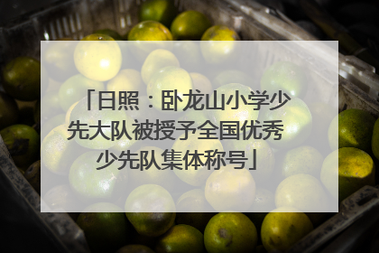 日照：卧龙山小学少先大队被授予全国优秀少先队集体称号