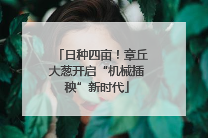日种四亩！章丘大葱开启“机械插秧”新时代