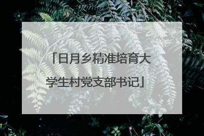日月乡精准培育大学生村党支部书记