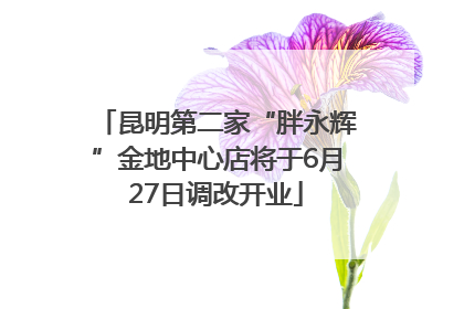 昆明第二家“胖永辉”金地中心店将于6月27日调改开业