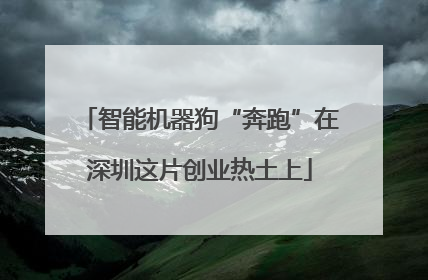 智能机器狗“奔跑”在深圳这片创业热土上