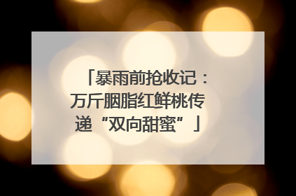 暴雨前抢收记：万斤胭脂红鲜桃传递“双向甜蜜”
