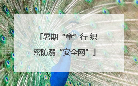 暑期“童”行 织密防溺“安全网”