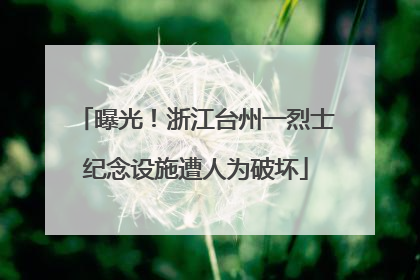 曝光！浙江台州一烈士纪念设施遭人为破坏