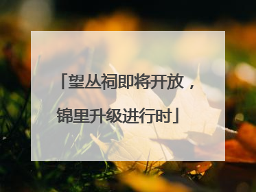 望丛祠即将开放，锦里升级进行时