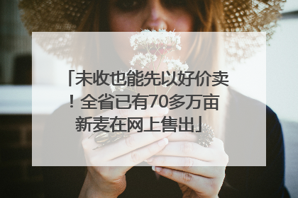 未收也能先以好价卖！全省已有70多万亩新麦在网上售出