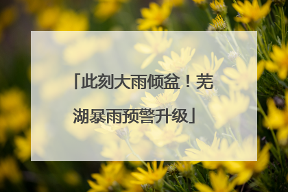 此刻大雨倾盆！芜湖暴雨预警升级