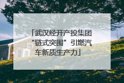 武汉经开产投集团“链式突围”引燃汽车新质生产力