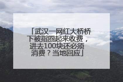 武汉一网红大桥桥下被指圈起来收费，进去100块还必须消费？当地回应