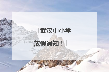 武汉中小学放假通知！