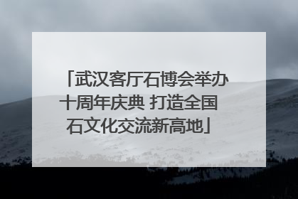 武汉客厅石博会举办十周年庆典 打造全国石文化交流新高地