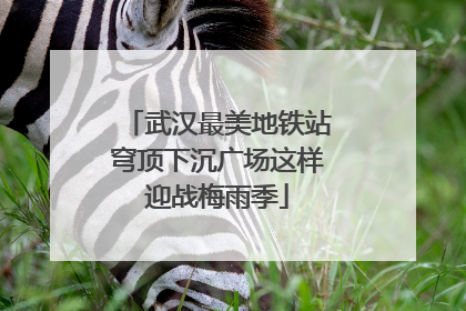 武汉最美地铁站穹顶下沉广场这样迎战梅雨季