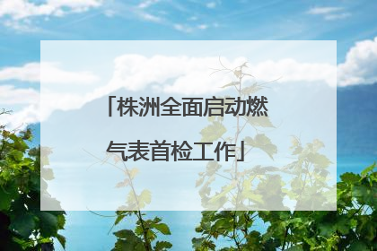 株洲全面启动燃气表首检工作