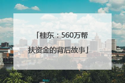 桂东：560万帮扶资金的背后故事