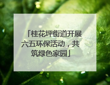桂花坪街道开展六五环保活动，共筑绿色家园