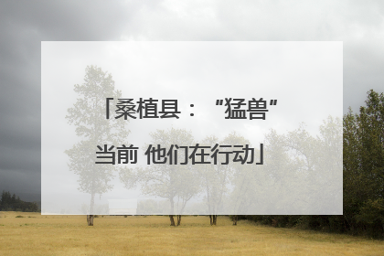 桑植县：“猛兽”当前 他们在行动