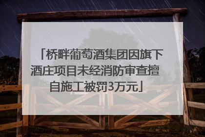 桥畔葡萄酒集团因旗下酒庄项目未经消防审查擅自施工被罚3万元