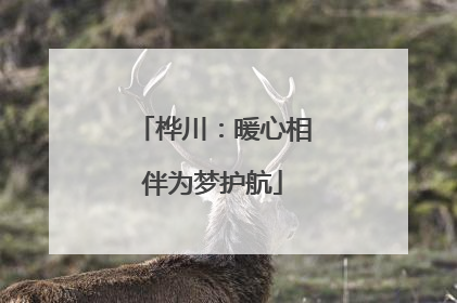 桦川：暖心相伴为梦护航
