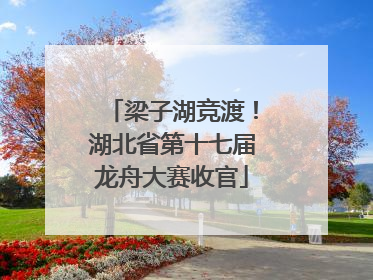 梁子湖竞渡！湖北省第十七届龙舟大赛收官