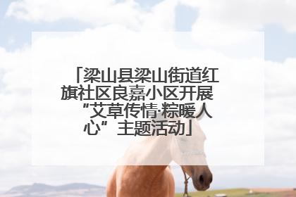 梁山县梁山街道红旗社区良嘉小区开展“艾草传情·粽暖人心”主题活动