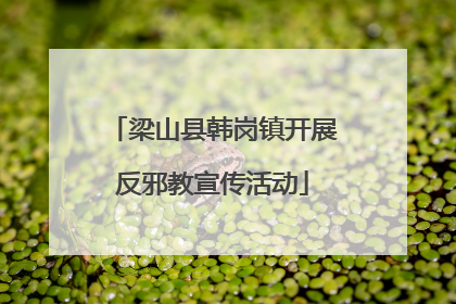 梁山县韩岗镇开展反邪教宣传活动
