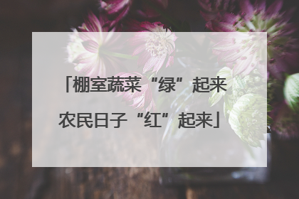 棚室蔬菜“绿”起来 农民日子“红”起来