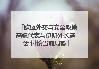 欧盟外交与安全政策高级代表与伊朗外长通话 讨论当前局势