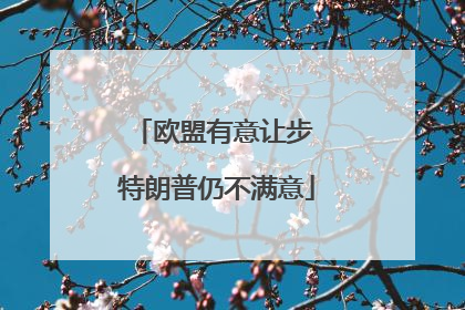 欧盟有意让步 特朗普仍不满意