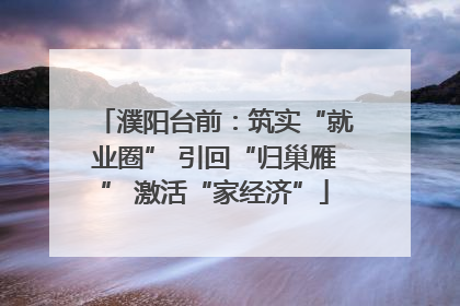 濮阳台前：筑实“就业圈” 引回“归巢雁” 激活“家经济”