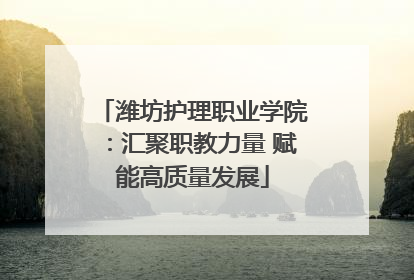 潍坊护理职业学院：汇聚职教力量 赋能高质量发展