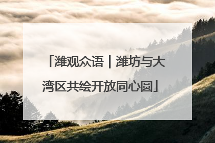 潍观众语｜潍坊与大湾区共绘开放同心圆