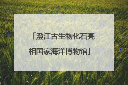 澄江古生物化石亮相国家海洋博物馆