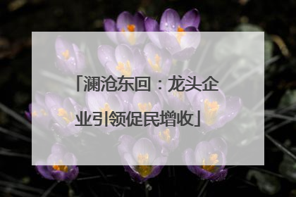澜沧东回：龙头企业引领促民增收