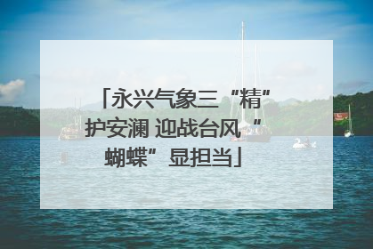 永兴气象三“精”护安澜 迎战台风“蝴蝶”显担当
