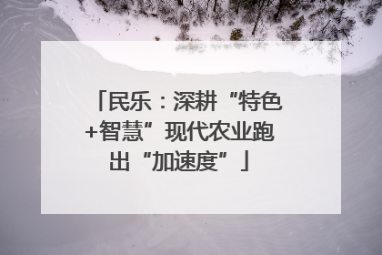 民乐：深耕“特色+智慧”现代农业跑出“加速度”