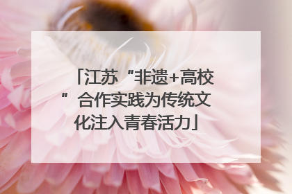 江苏“非遗+高校”合作实践为传统文化注入青春活力