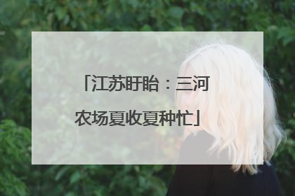 江苏盱眙：三河农场夏收夏种忙