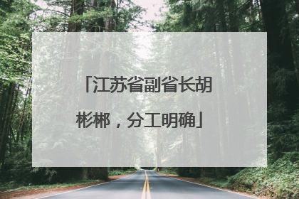 江苏省副省长胡彬郴，分工明确