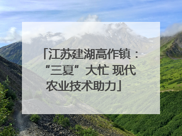 江苏建湖高作镇：“三夏”大忙 现代农业技术助力