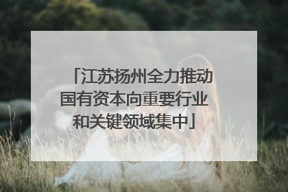 江苏扬州全力推动国有资本向重要行业和关键领域集中