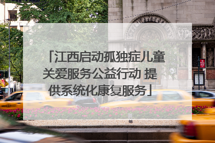 江西启动孤独症儿童关爱服务公益行动 提供系统化康复服务