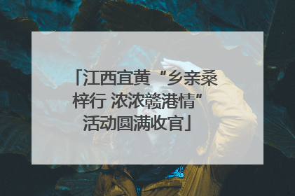江西宜黄“乡亲桑梓行 浓浓赣港情”活动圆满收官