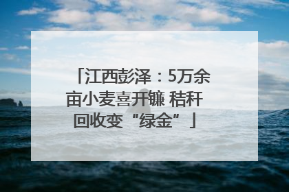 江西彭泽：5万余亩小麦喜开镰 秸秆回收变“绿金”
