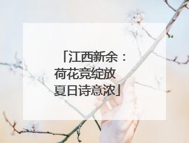 江西新余：荷花竞绽放 夏日诗意浓