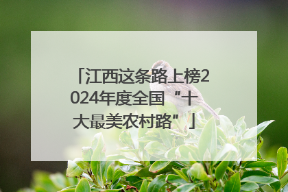 江西这条路上榜2024年度全国“十大最美农村路”
