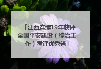 江西连续19年获评全国平安建设（综治工作）考评优秀省