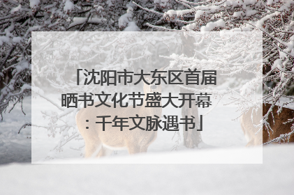沈阳市大东区首届晒书文化节盛大开幕：千年文脉遇书